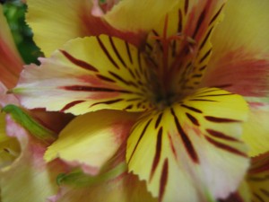 IMG_1395